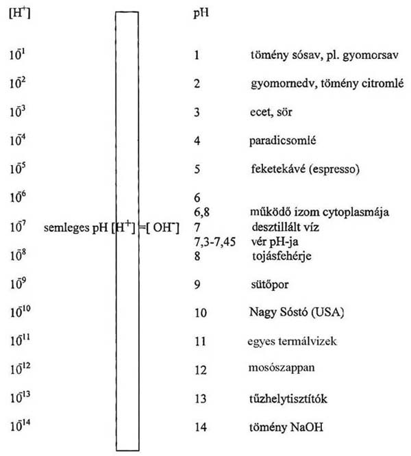 Különböző anyagok pH-jának és H+ ion koncentrációjának összehasonlítása a vér hasonló értékeivel