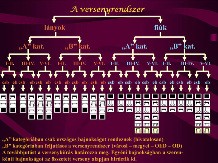 A Diákolimpia tornaversenyrendszerének sematikus ábrázolása (Keszthelyi, 2008 nyomán) – 3. ábra