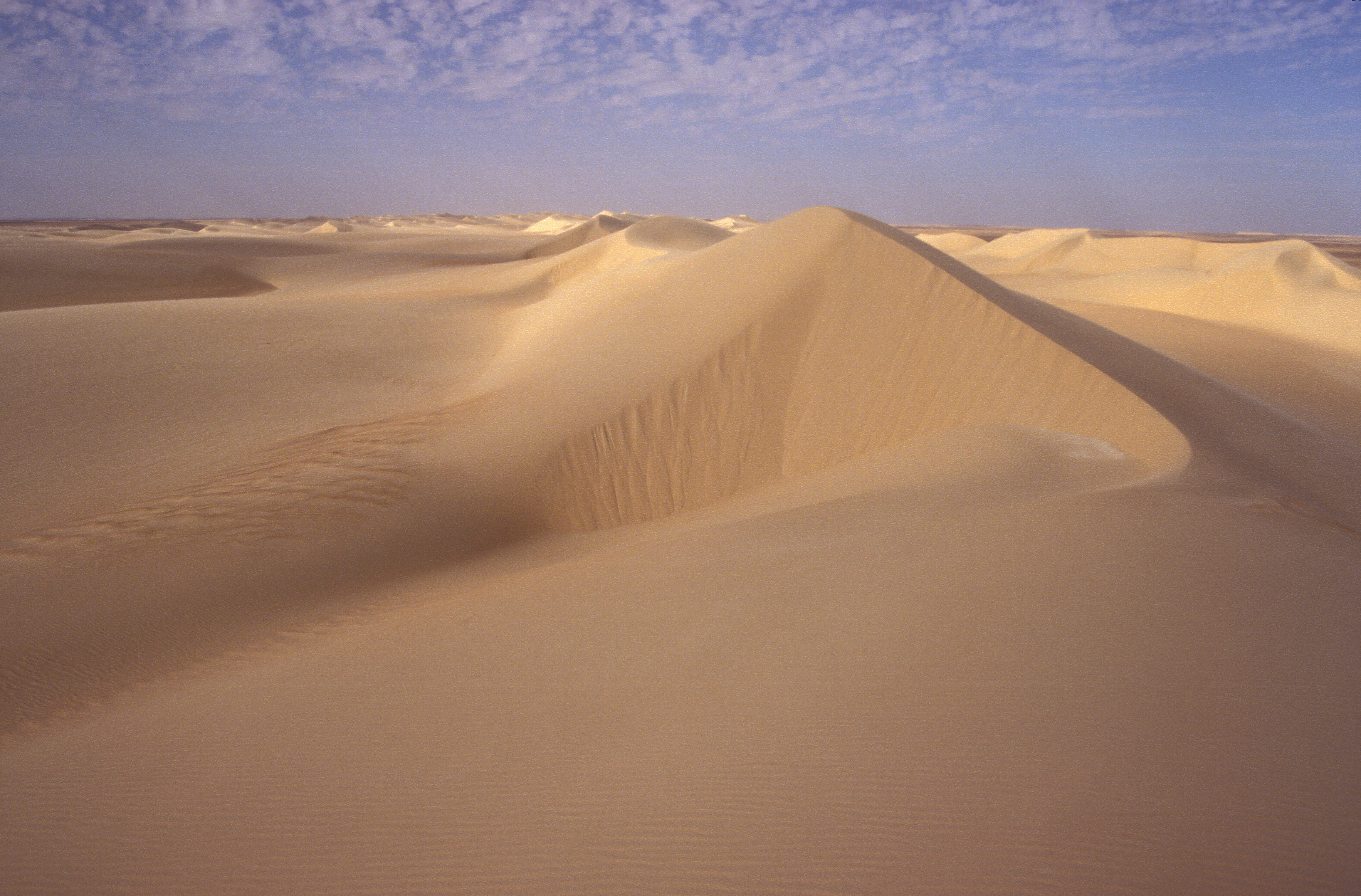 Hosszanti dűne a Líbiai-sivatagban, Egyiptom. fotó: Karancsi Zoltán