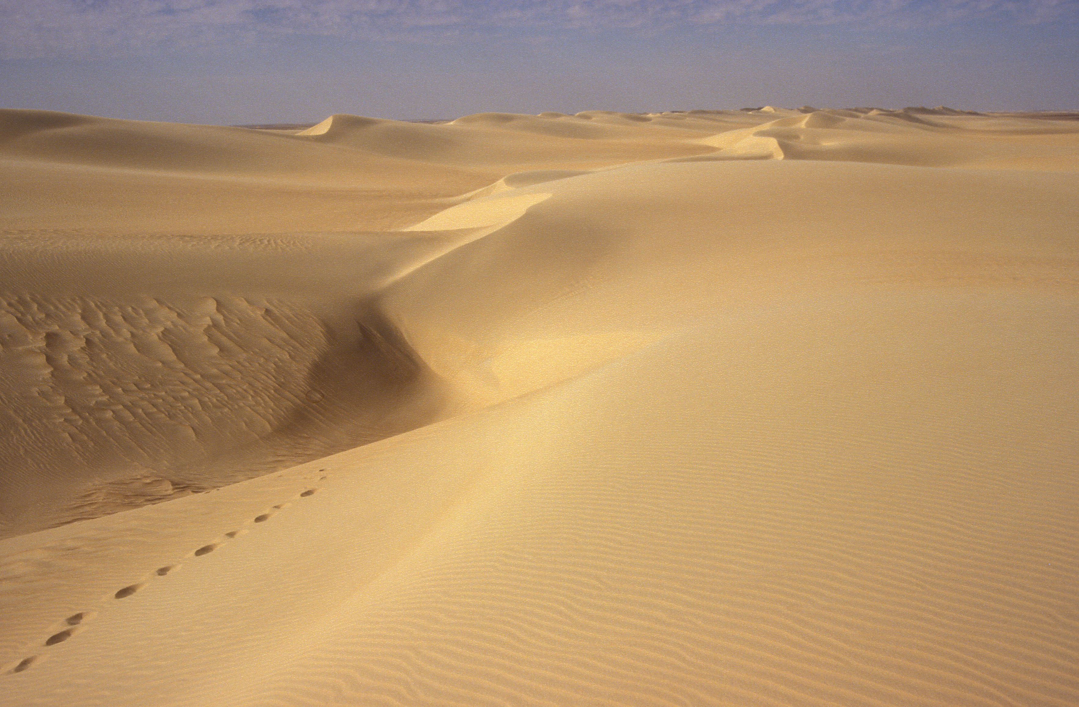 Hosszanti dűne a Líbiai-sivatagban, Egyiptom. fotó: Karancsi Zoltán