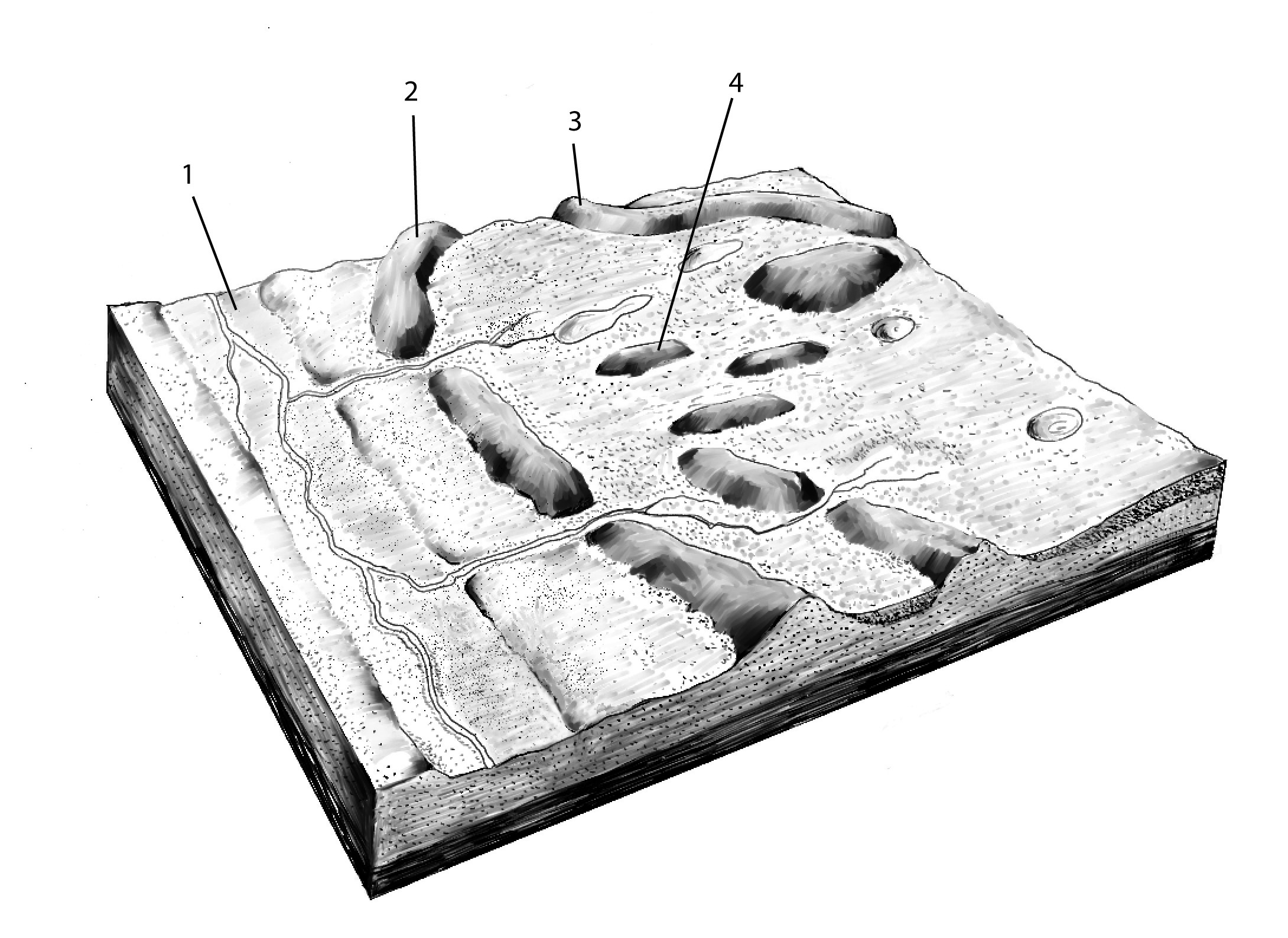 Generalized block diagram of subglacial landforms 1 = glacial spillway, 2 = terminal moraine, 3 = esker, 4 = drumlin
