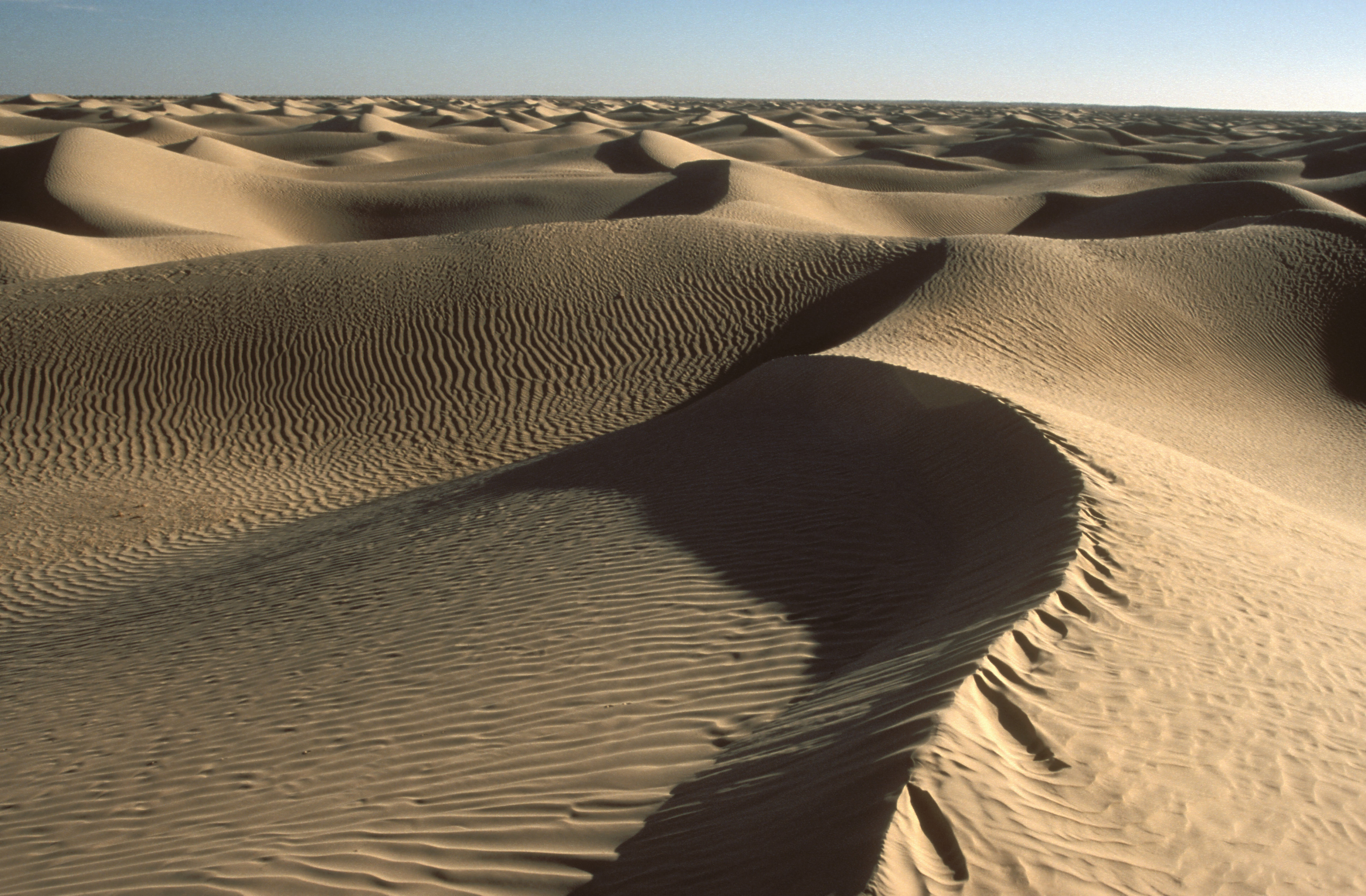 Sand desert: Eastern Great Erg, Tunisia photo by Zoltán Karancsi