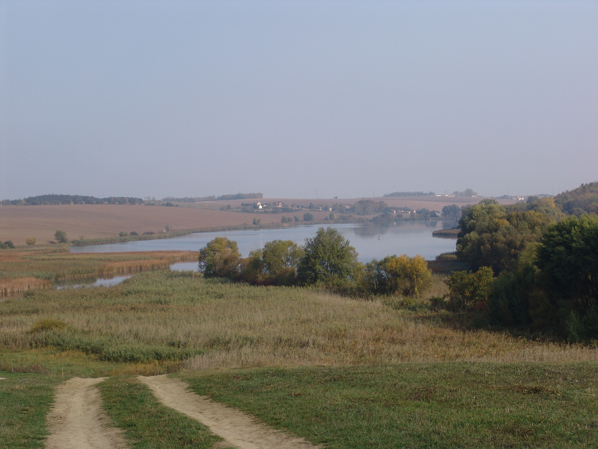 A Széptölgyesi-tavak (Tolnai-dombság) kiterjedt nádassal. fotó: Varga Gábor