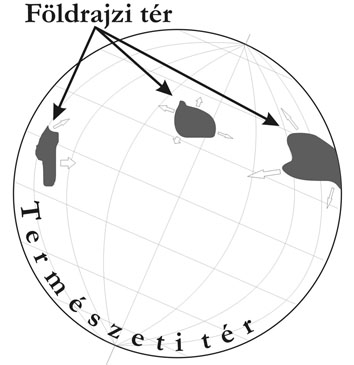 A Földrajzi tér fejlődésének preindusztriális fázisa (Tóth József nyomán módosításokkal, Pirisi G. - Trócsányi A.)