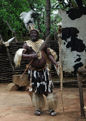 A dél-afrikai zulu nép harcos fiai a bantid alrasszhoz tartoznak. Az öltözet és a lándzsa ma már inkább csak a turistáknak szól. (Trócsányi A. felvétele)