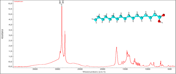 Sztearinsav infravörös spektruma ν(OH) 3500 - 2400, νas(CH) 2917, νs(CH) 2848, ν(C=O) 1701, βas(CH3) 1471, βs(CH3) 1432, ν(C-O) 1411, νas(C-O) 11297, βas(CH2) 941, βs(CH2) 719